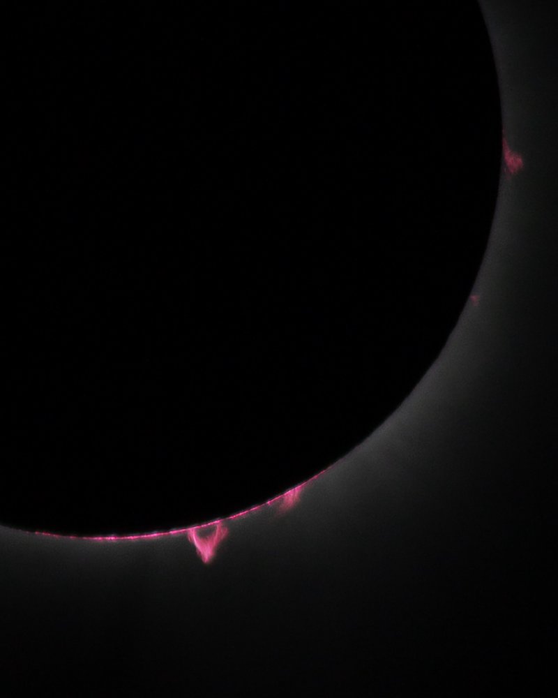 Photo of solar prominences visible during the eclipse